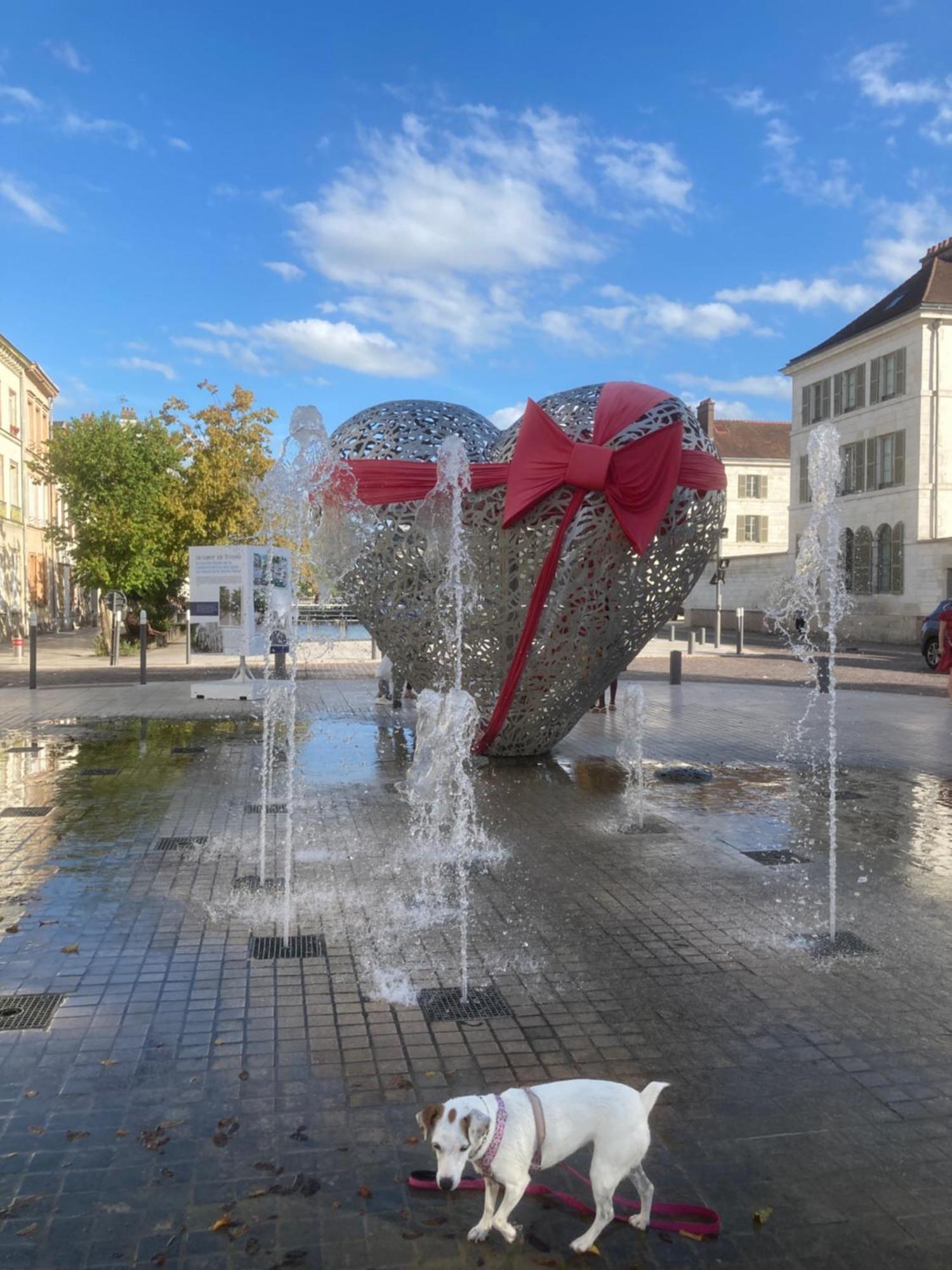 Papillons De Nuit Champagne Troyes Apartment Exterior photo
